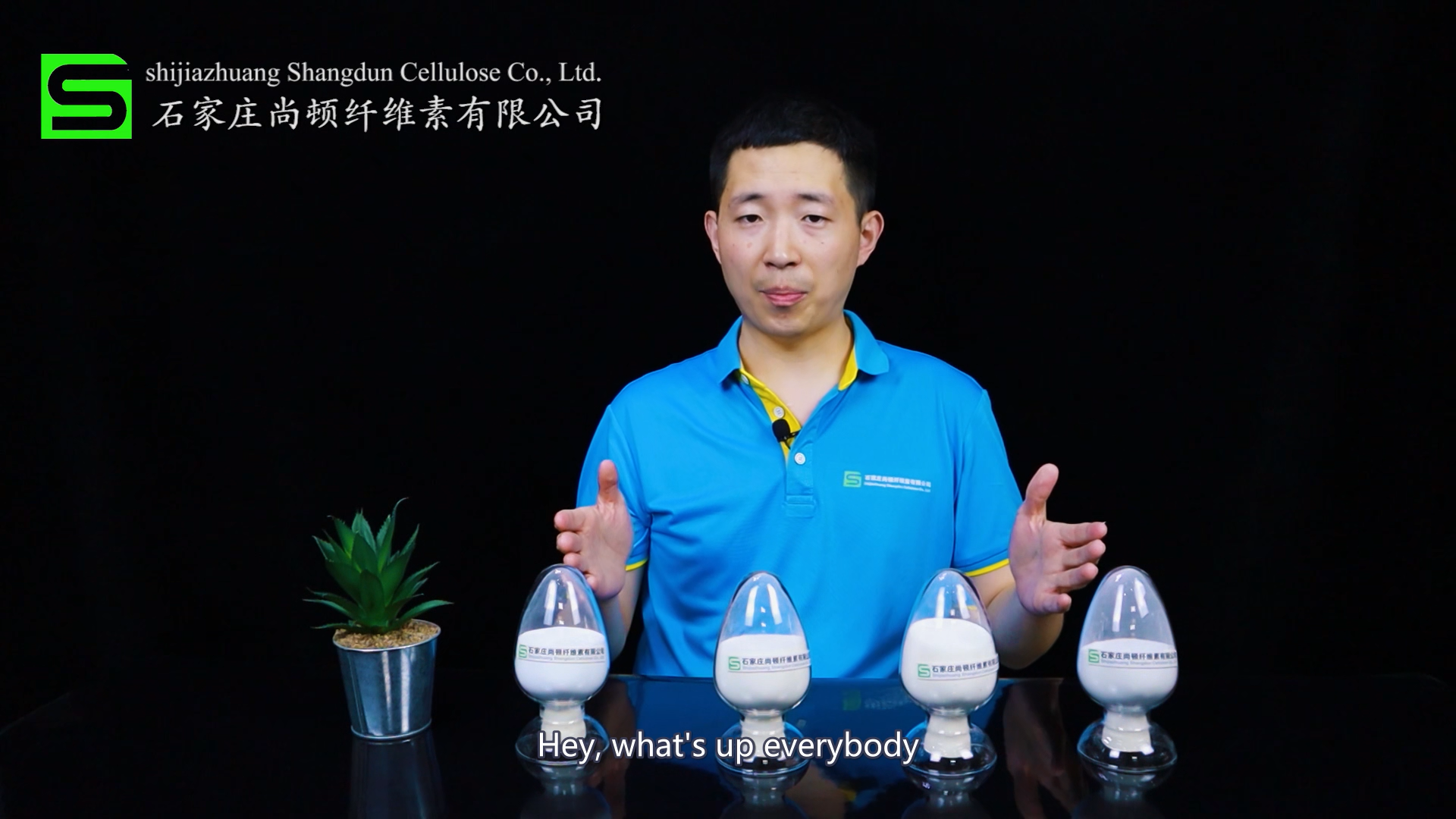 shangdun cellulose introduce